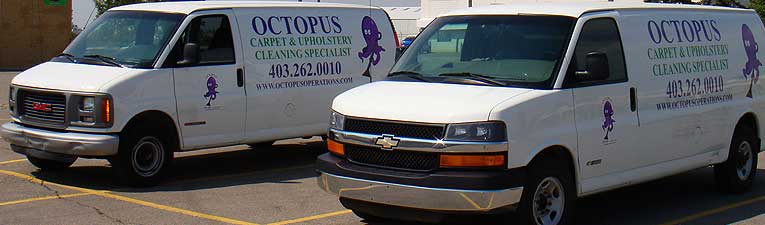 Octopus vans, angle two